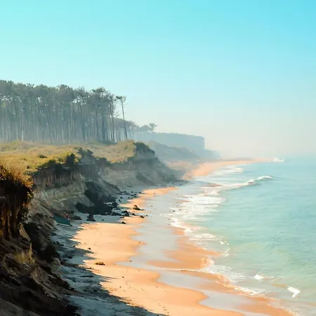 Surfivor Surf Camp